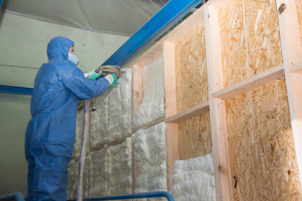 Best Attic Insulation Near Me  in St Stephen, SC