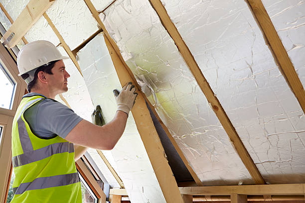 Best Insulation Replacement Services  in St Stephen, SC