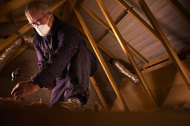 Best Insulation Repair Services  in St Stephen, SC