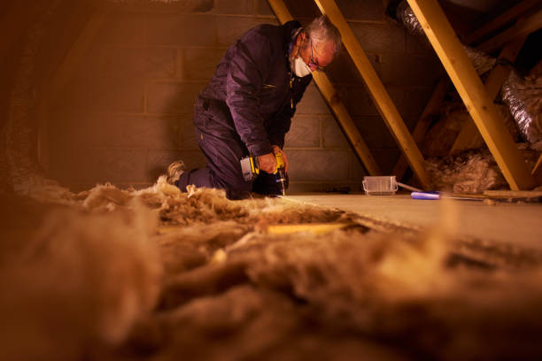 Best Affordable Insulation Services  in St Stephen, SC